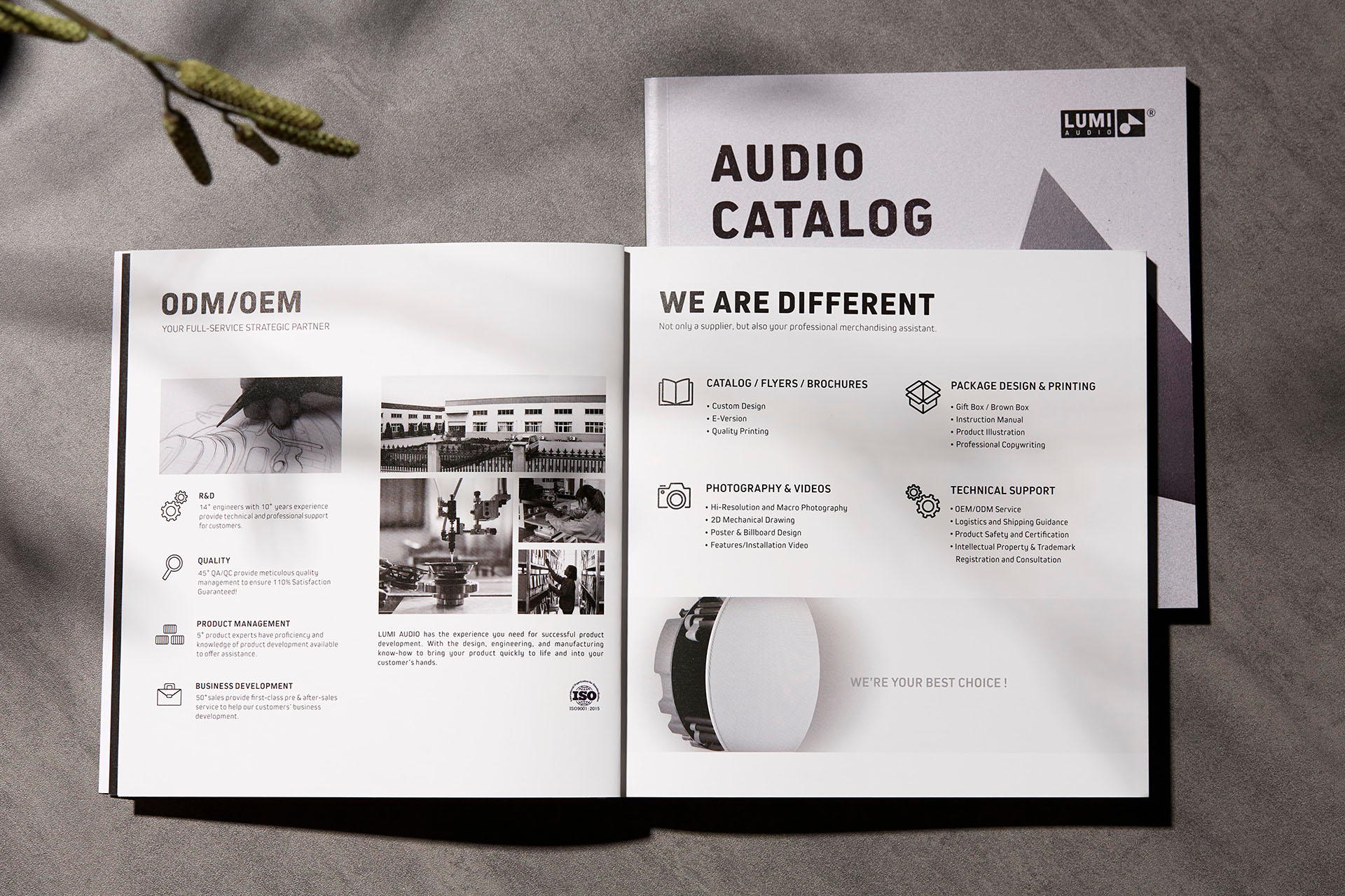 LUMIAUDIO Loudspeaker and Amplifier Catalog Copywriting